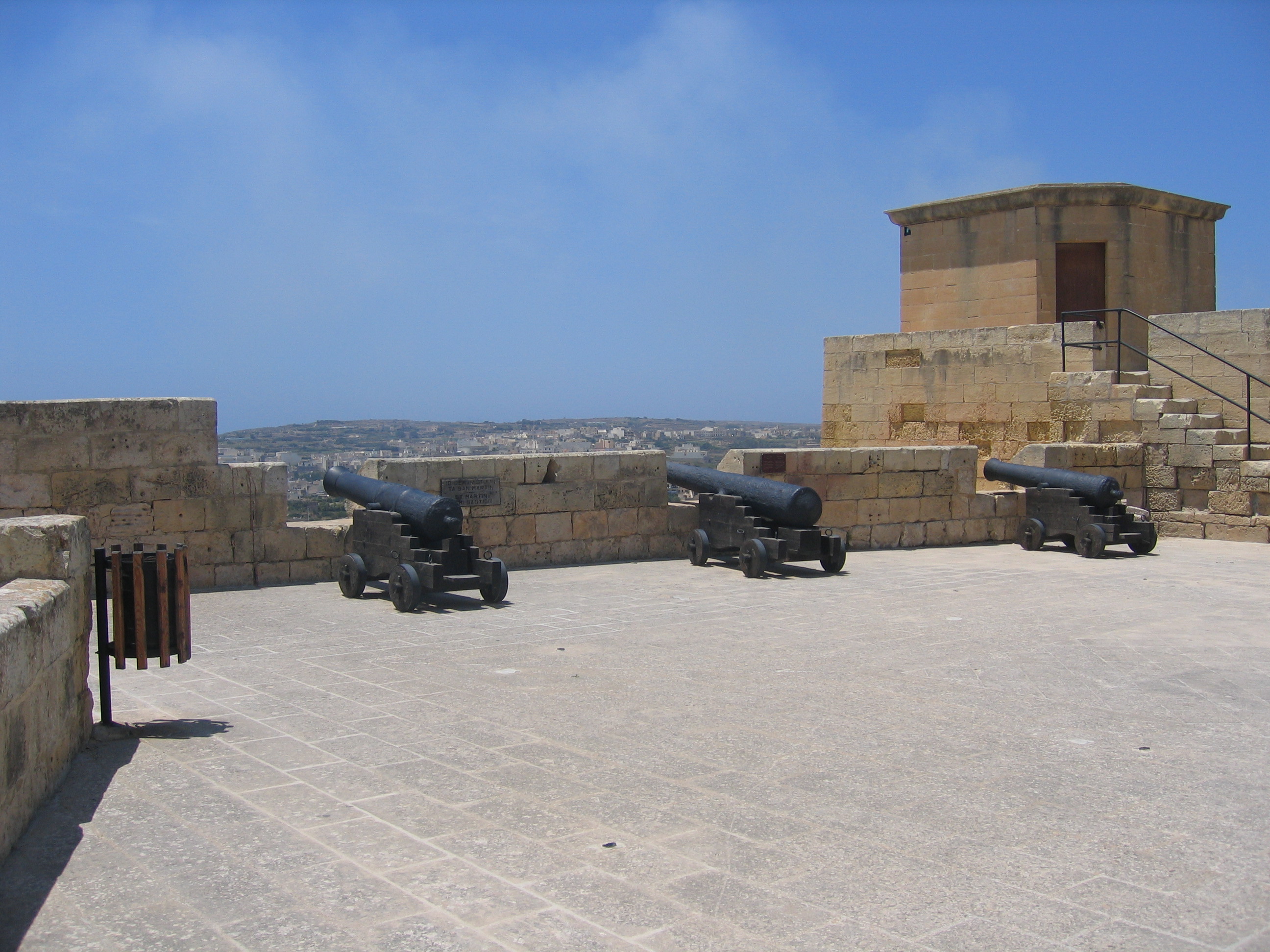 The Cannons