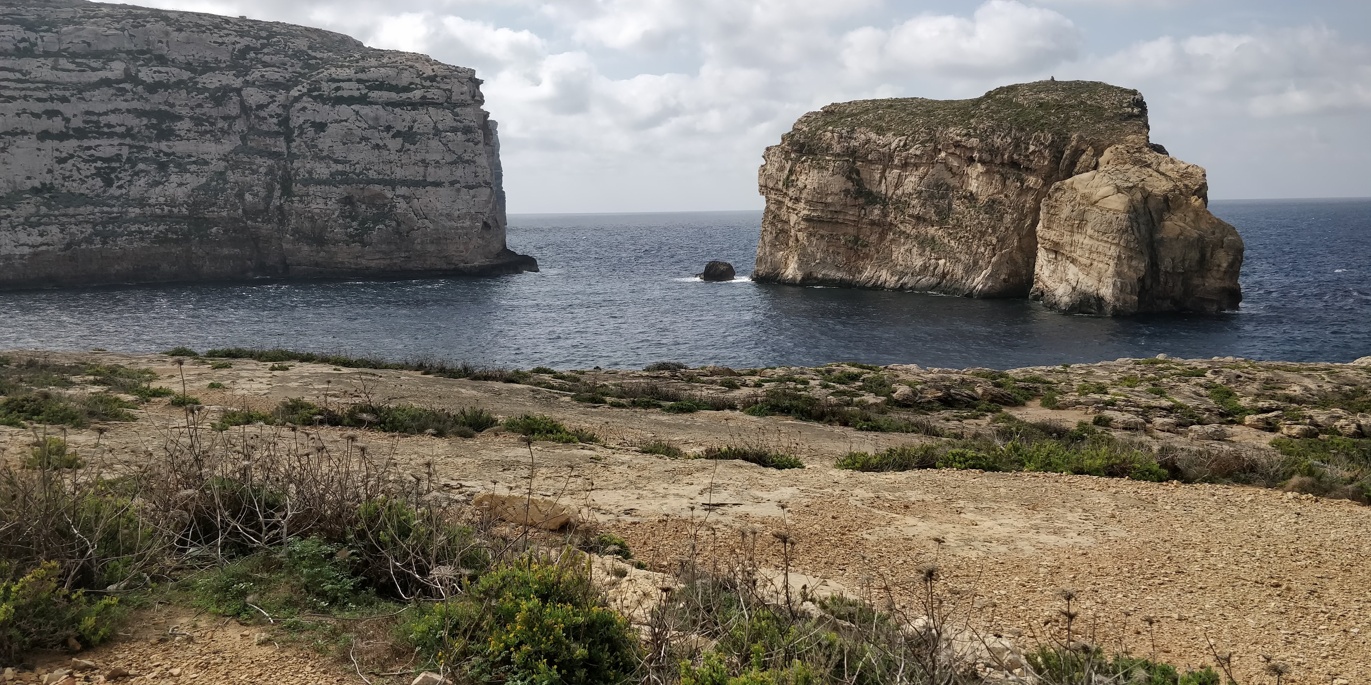 Fungus Rock